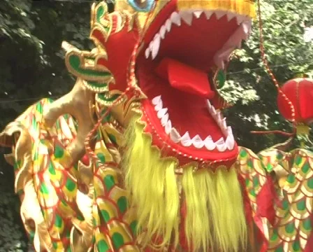 Chinese dragon Vidéo 313350
