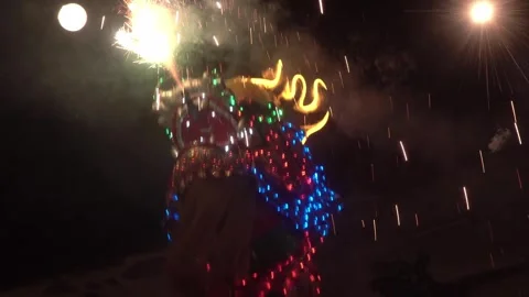 Chinese dragon performing at night. Stock-Footage 330116245