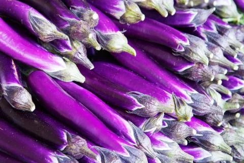 Chinese eggplant Stock Photos