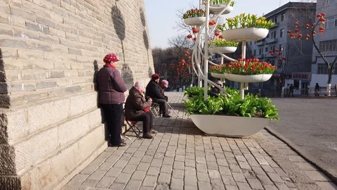 Chinese elderly relaxing under the sun Stock Footage 124944085