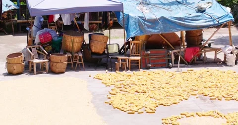 Chinese farmer drying seeds Video stock 203842708