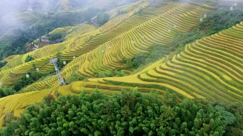 Chinese farmer terraces Stock Footage 142618988