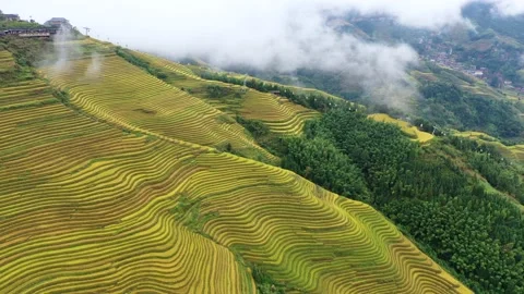 Chinese farmer terraces Stock Footage 142619005