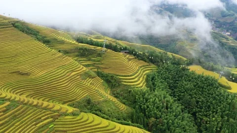 Chinese farmer terraces Stock Footage 142619014