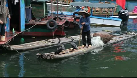 Chinese Fisherman Stock Footage