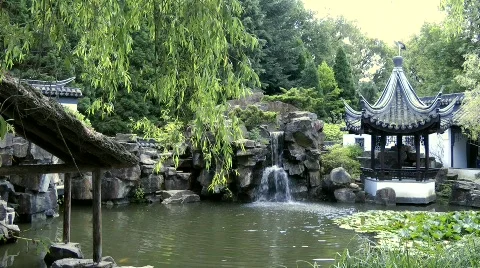 Chinese garden 스톡 동영상 780495