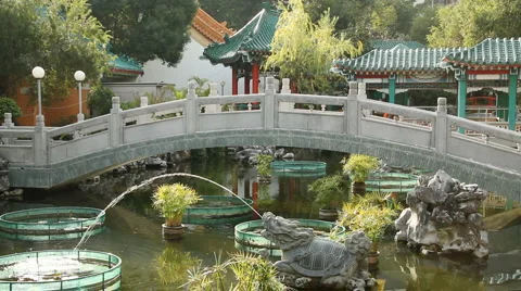 Chinese garden Stock Footage 1038549