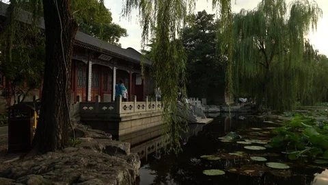 Chinese garden Stock Footage 93166470