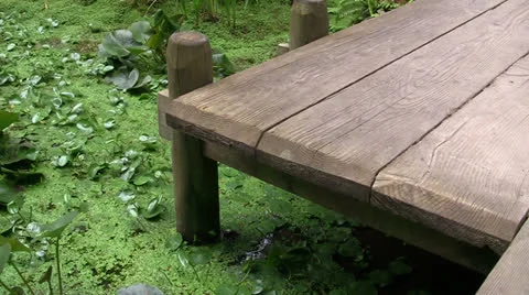 CHINESE GARDEN WATER LILY POND ZIGZAG WOODEN BRIDGE CORNER Stock Footage