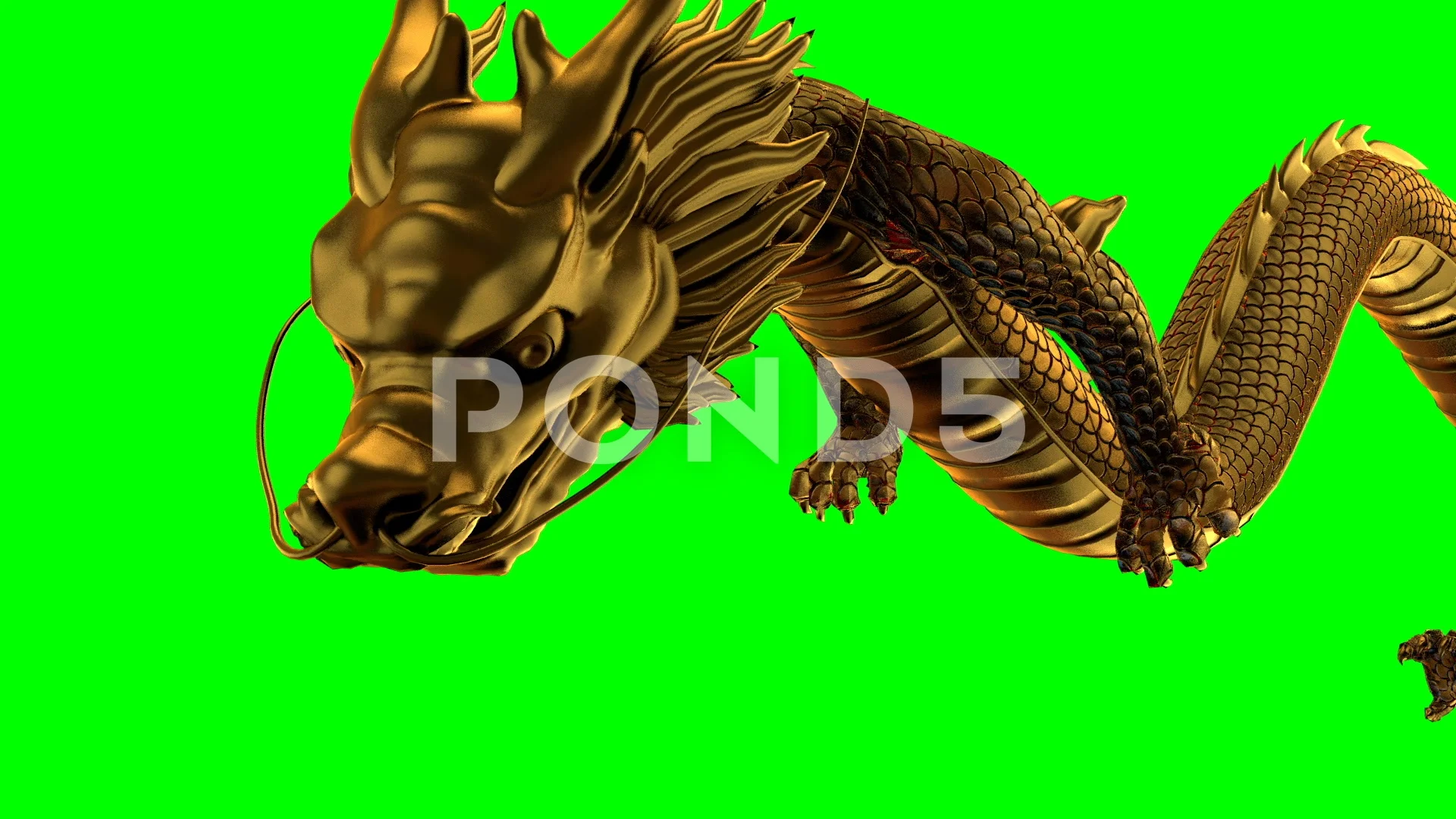 Chinese golden dragon on Green Screen | Stock Video | Pond5