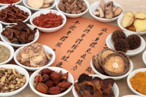 Chinese Herb Selection 스톡 사진