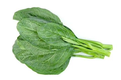 Chinese kale isolated on white background ,Green leaves of collards pattern Stock Photos