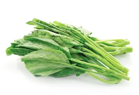 Chinese kale vegetable Stock Photos