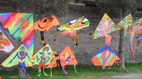 Chinese kites in wind Stock Footage 885620