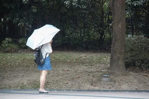 Chinese lady Stock Photos