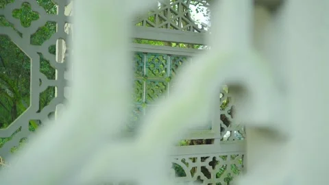 Chinese landscape architecture Stock Footage 312929844
