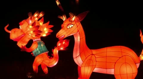 Chinese Lantern Of A Deer Stock Footage 10682744
