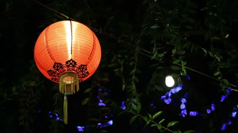 Chinese Lantern Stock Footage 41325176