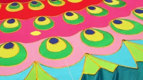 Chinese Lantern Of A Peacock Stock Footage 8988960