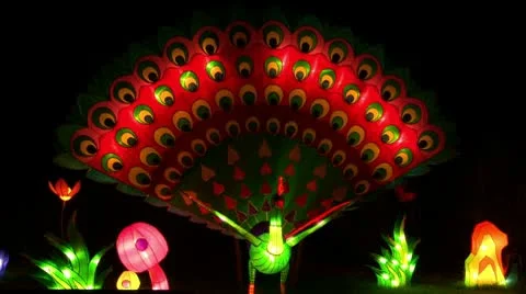 Chinese Lantern Of A Peacock Stock Footage 10682765