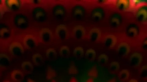 Chinese Lantern Of A Peacock Stock Footage 10682770