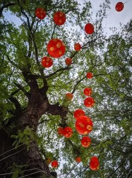 Chinese lantern Foto stock