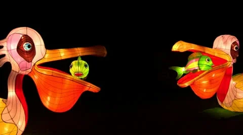 Chinese Lantern Of Two Pelicans Stock-Footage 10682775