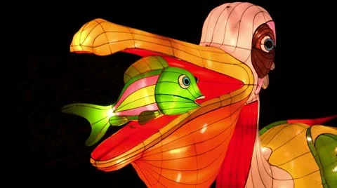 Chinese Lantern Of Two Pelicans Video stock 10682793