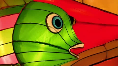 Chinese Lantern Of Two Pelicans Stock Footage 10682809