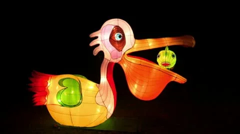 Chinese Lantern Of Two Pelicans Stock Footage 10682822