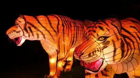 Chinese Lantern Of Two Tigers Stock Footage 10682892