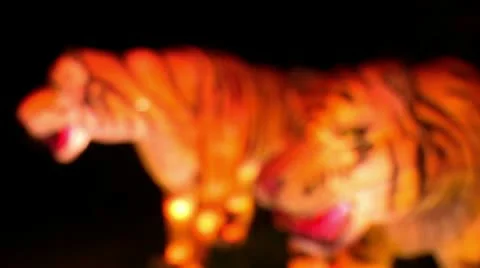 Chinese Lantern Of Two Tigers Video stock 10682899