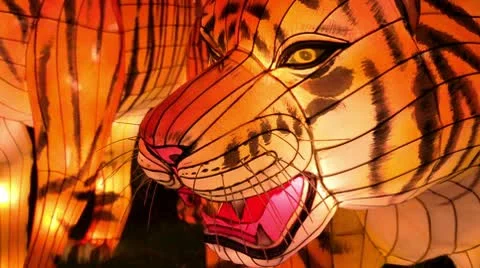 Chinese Lantern Of Two Tigers Video stock 10682909