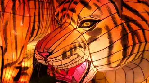Chinese Lantern Of Two Tigers Stock Footage 10682922