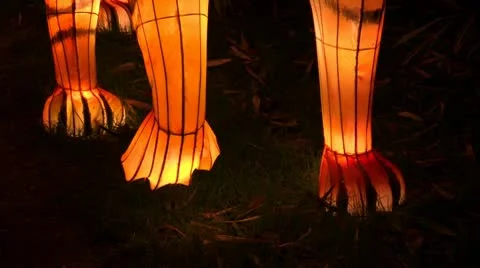 Chinese Lantern Of Two Tigers Stock-Footage 10682943