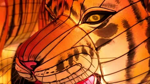 Chinese Lantern Of Two Tigers Stock Footage 10682952