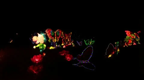 Chinese Lanterns Of Butterflies Stock Footage 10682964