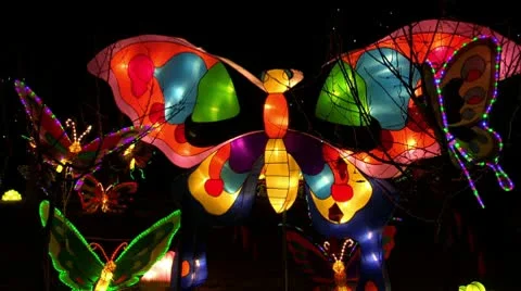 Chinese Lanterns Of Butterflies Stock Footage 10682973