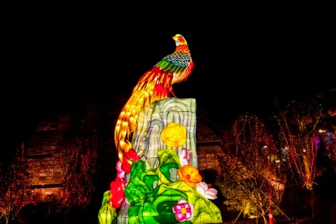 Chinese lanterns at night Stock Photos