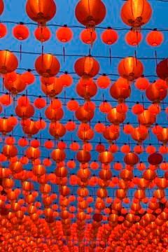 Chinese lanterns Stock Photos