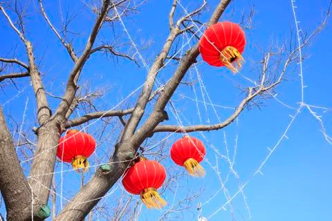 Chinese lanterns Stock Photos