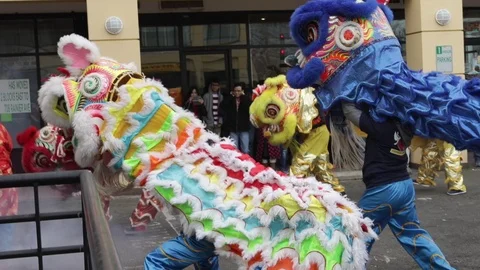 Chinese Lion Dance Video stock 103958059