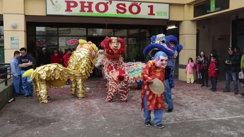 Chinese Lion Dance Video stock 103959856