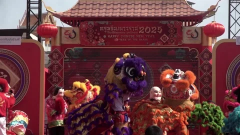 Chinese lion dance performing during the Lunar New Year festival Stock Footage 323940583