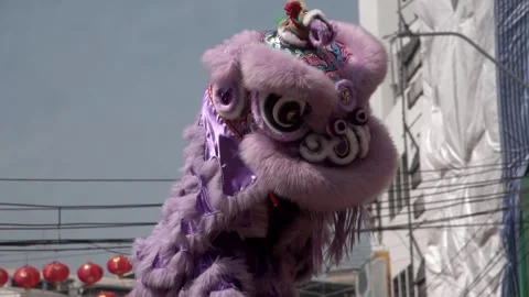Chinese lion dance performing during the Lunar New Year festival. Stock Footage 328224039