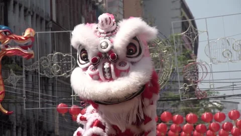 Chinese lion dance performing during the Lunar New Year festival. Video stock 328235822