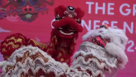 Chinese lion dance performing during the Lunar New Year festival. Video stock 328237471