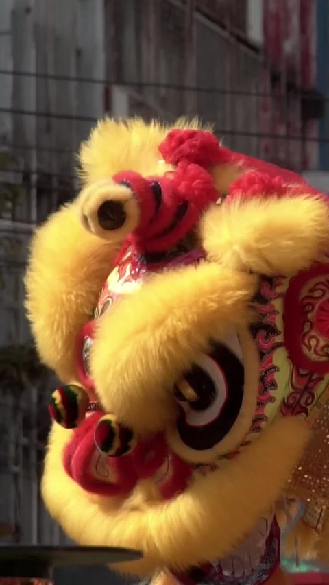 Chinese lion dance performing, Slow motion. Video stock 328634397