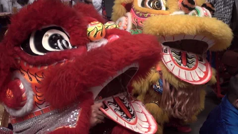 Chinese lion performing Video stock 220362484