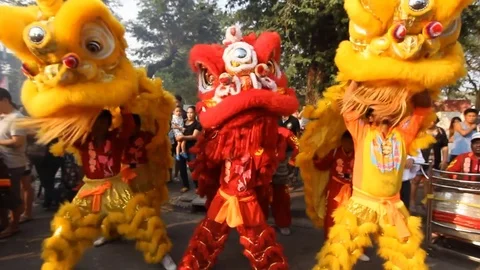 Chinese Lions performing during Chinese New Year Festival Stock Footage 72425796